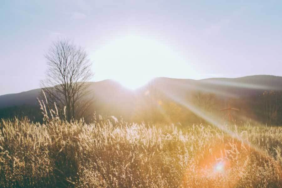 全认证隐私保护得到保障EVO视讯智能家居安(图2)